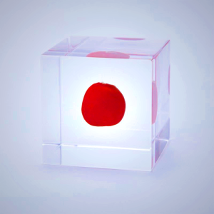 Sola Cube Huayruro - Handcrafted Nature Decor