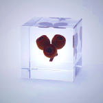 Sola Cube Eucalyptus Desk Decor - Handcrafted Acrylic Art