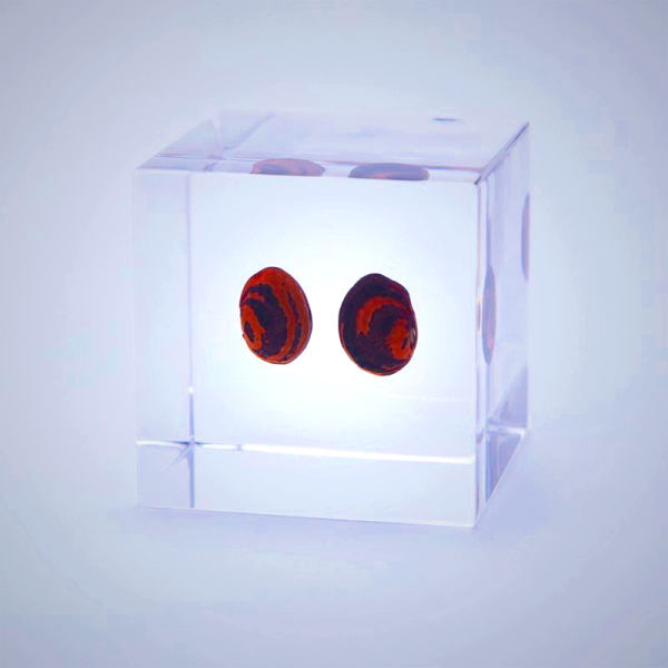 Sola Cube - Kaimame Decorative Desk Art