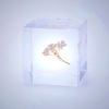 Sola Cube Rice Flower - Preserved Botanical Decor