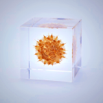 Sola Cube Basket Flower Decor - Handcrafted Acrylic Desk Ornament