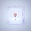 Sola Cube - Dandelion Seed in Acrylic Resin | Kyoto Handmade