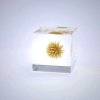 Sola Cube - Globe Thistle Decor | Kyoto Handmade