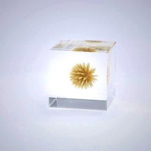 Sola Cube - Globe Thistle Decor | Kyoto Handmade